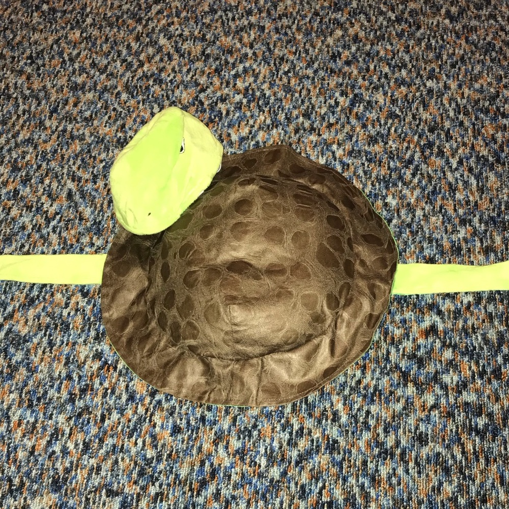 Turtle costume for a dog